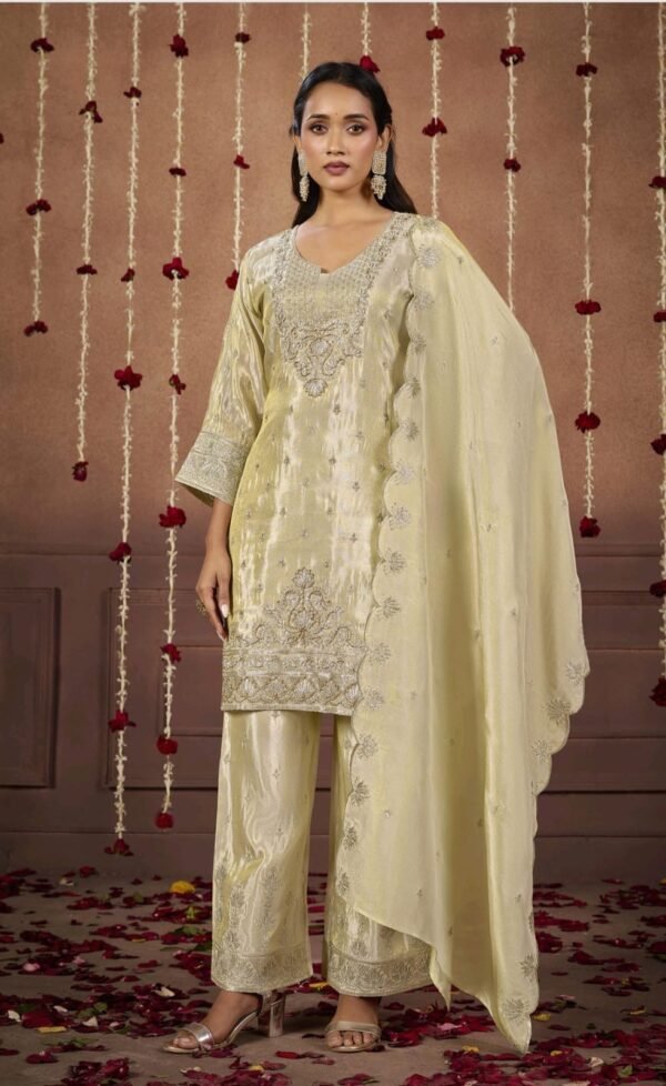 Beautiful Party Wear